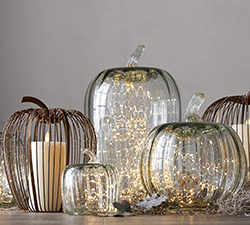 Harvest Celebrations