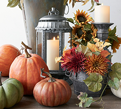 Harvest Celebrations