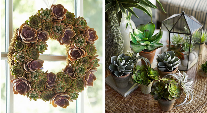 2 DIY Succulent Wreaths Perfect for Spring 2 DIY Succulent Wreaths Perfect for Spring