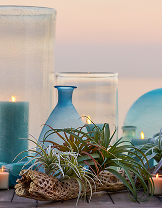 Design Tips & Ideas | Pottery Barn Design Tips & Ideas | Pottery Barn