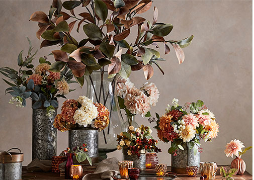 Botanicals Botanicals