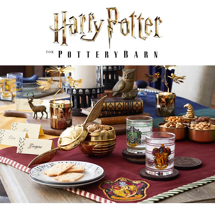 Harry Potter Harry Potter