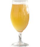 F19_GlasswareGuide_Beer2 F19_GlasswareGuide_Beer2