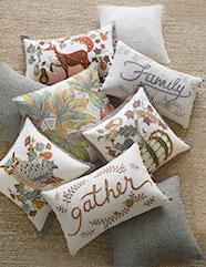 Decorative Pillows Accent Pillows Patterned Pillows Pottery Barn