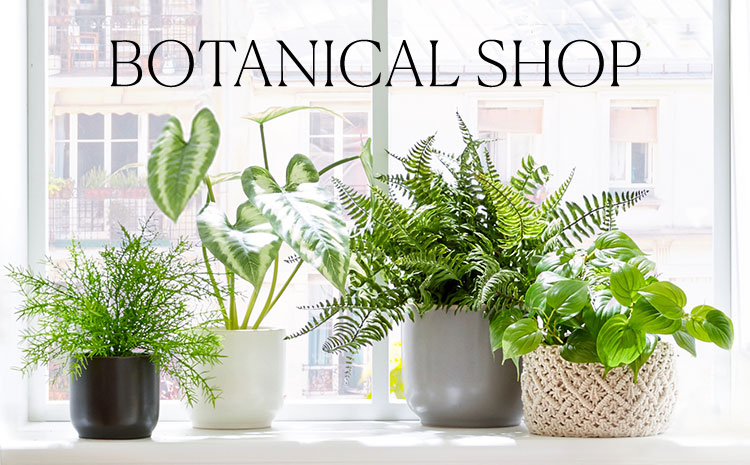 Artificial Plants Faux Plants Faux Flowers Pottery Barn