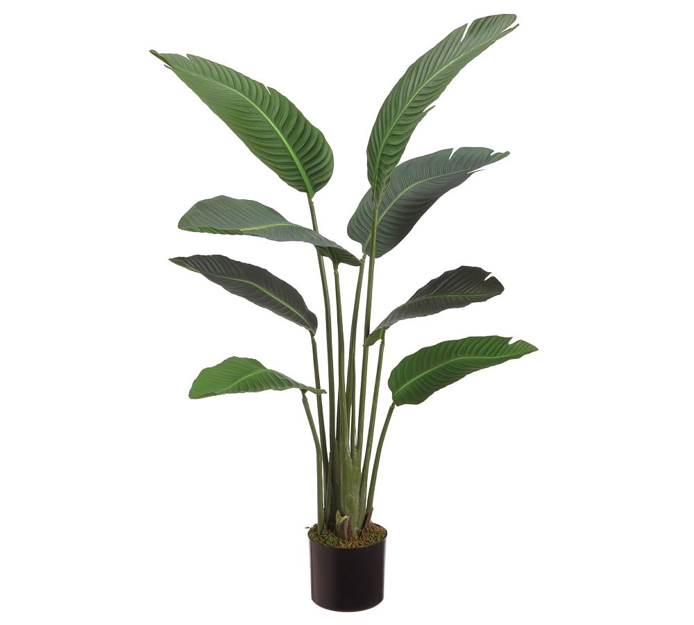 Online Designer Patio Faux Bird Of Paradise Plant With 12 Leaves, 6.25'