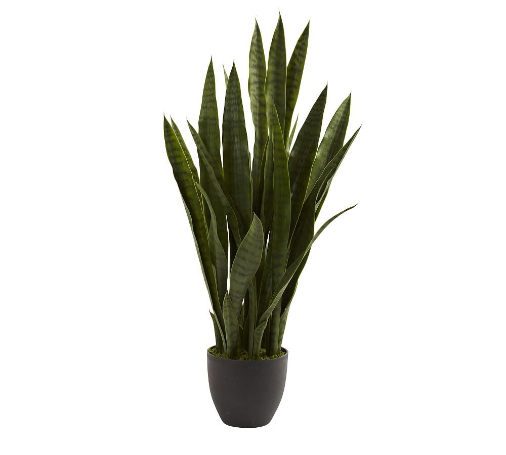 Online Designer Bedroom Faux Potted Sansevieria