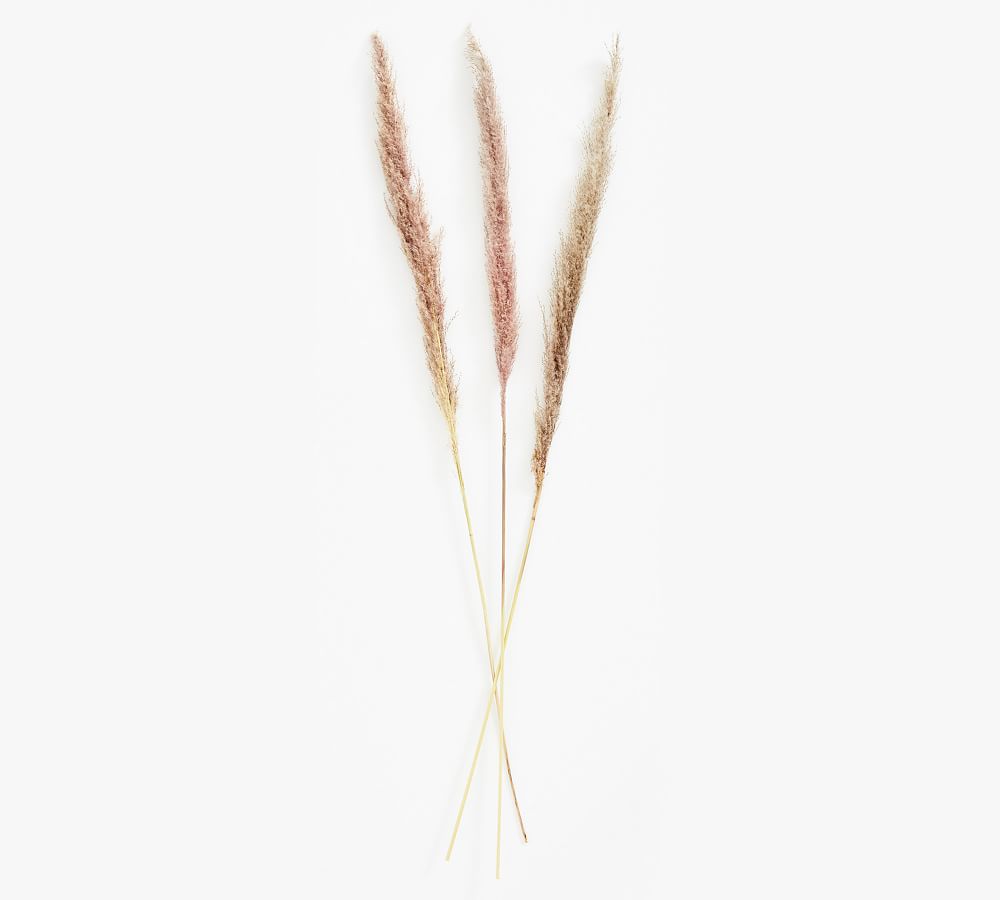 Online Designer Bedroom Dried Pampas Grass Branches, Natural - Set of 3