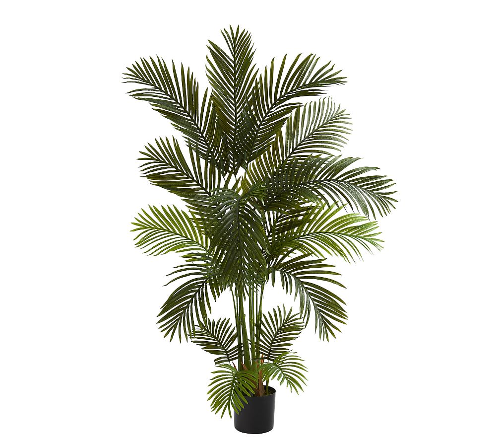 Online Designer Combined Living/Dining Faux Areca Palm Tree, 5.5'