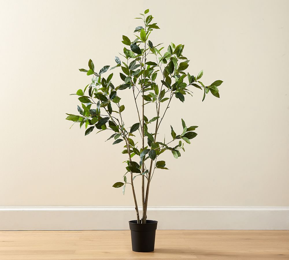 Online Designer Home/Small Office Faux Bay Leaf Tree, 5', Green
