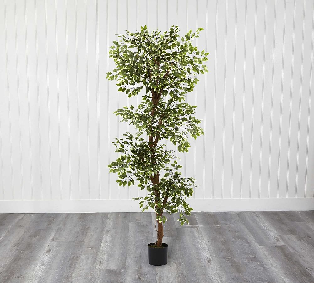 Online Designer Bedroom Faux Variegated Ficus Tree, 6'