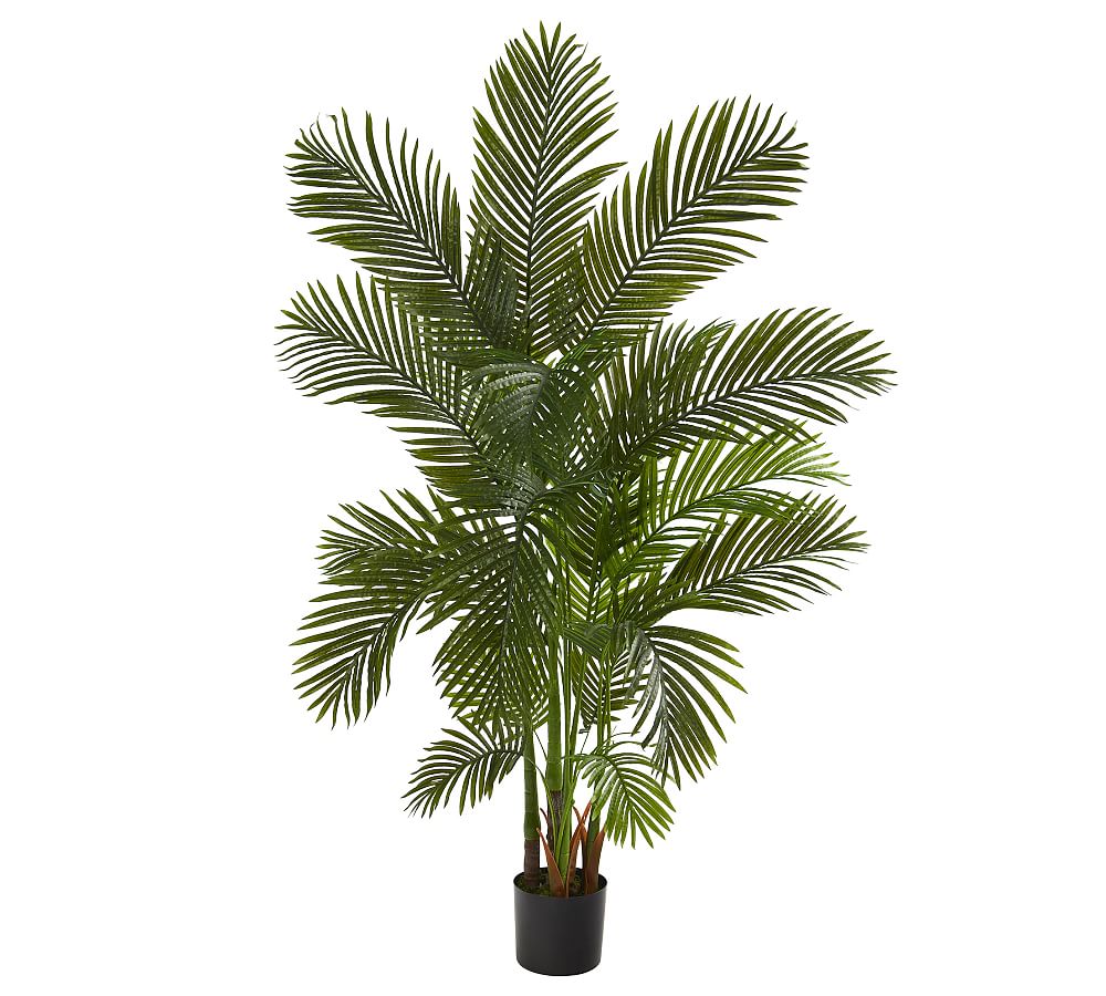Online Designer Combined Living/Dining Faux Areca Palm Tree, 6'