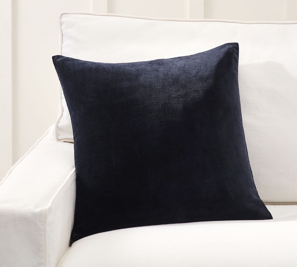 Online Designer Bedroom Everywhere Velvet Pillow & Down Feather Insert Bundle, 20