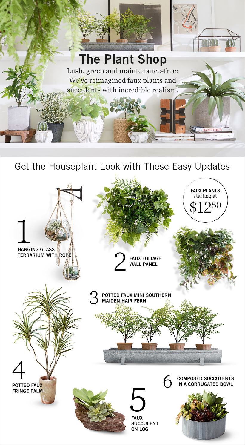 Plant Shop Plant Shop