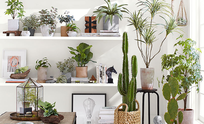 5 indoor hanging planter