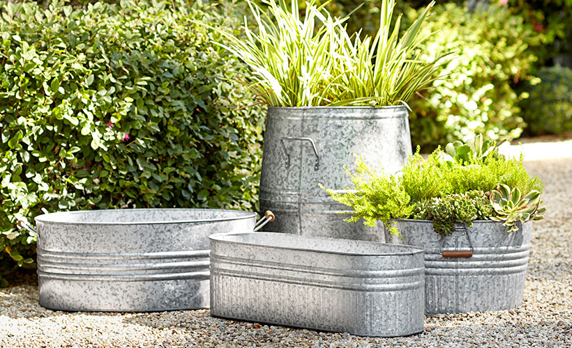 Eggshell Planters: Starting Seeds in Eggshells Eggshell Planters: Starting Seeds in Eggshells