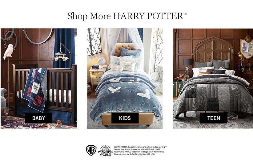 Harry Potter Harry Potter
