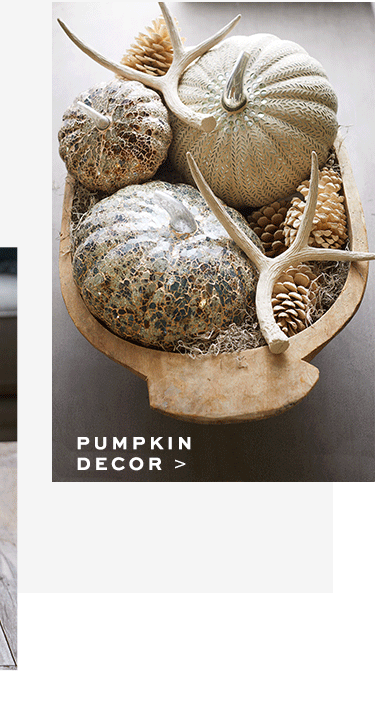 Fall Decor Fall Wreaths Pillows Table Decor Pottery Barn