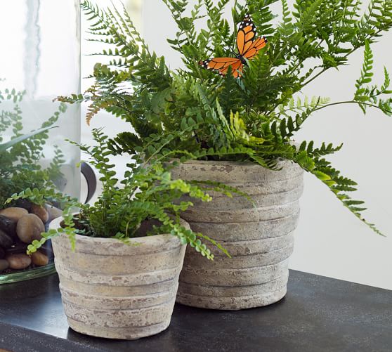Rustic Terra Cotta Cachepot, Antique White, Small