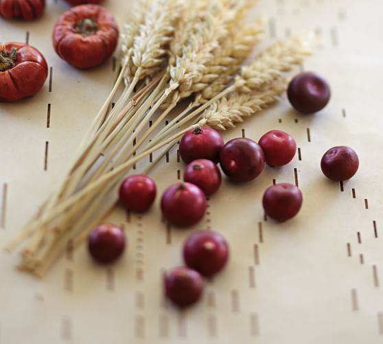 Cranberry Vase Filler Pottery Barn