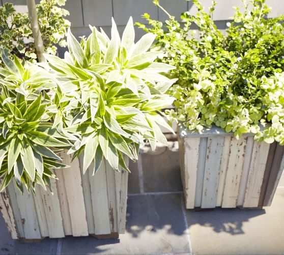 Reclaimed Wood Barrel Planters Pottery Barn