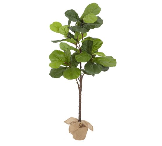 Faux Potted Fiddle Leaf Tree Pottery Barn