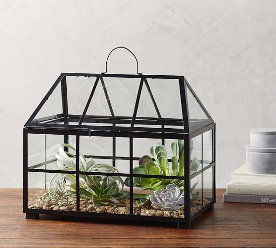 Metal and Glass Terrarium Pottery Barn