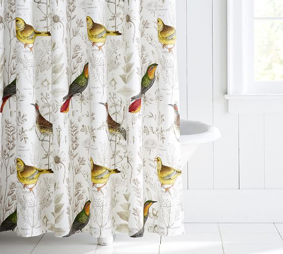 Meadowlark Print Organic Shower Curtain Pottery Barn