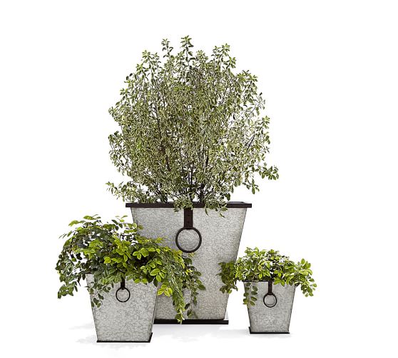 Roland Planters Galvanized Pottery Barn