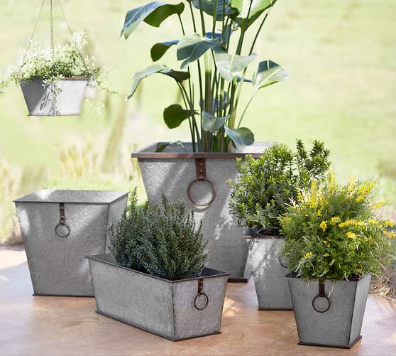 Roland Planters Galvanized Pottery Barn