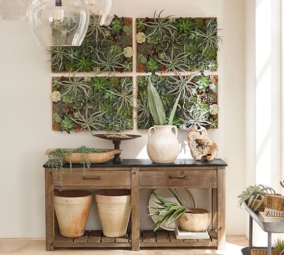 Succulent Wall Art succulent wall | pottery barn Succulent Wall Art succulent wall | pottery barn