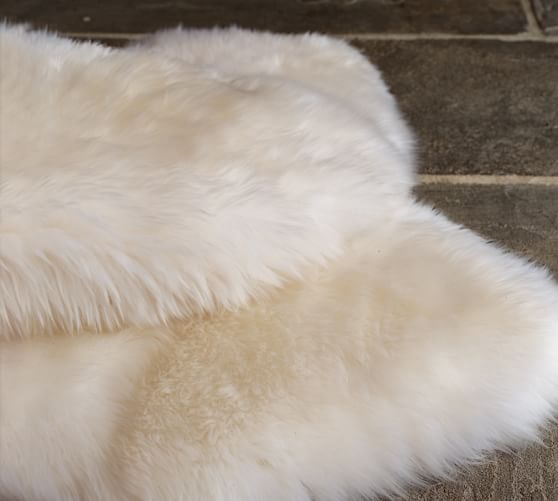 Sheepskin Rug Pottery Barn Alternate View - Sheepskin Rug Pottery Barn