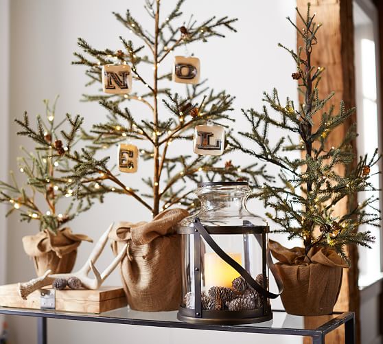 Lit Potted Pine Trees Pottery Barn