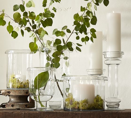 Branson Glass Vases Pottery Barn