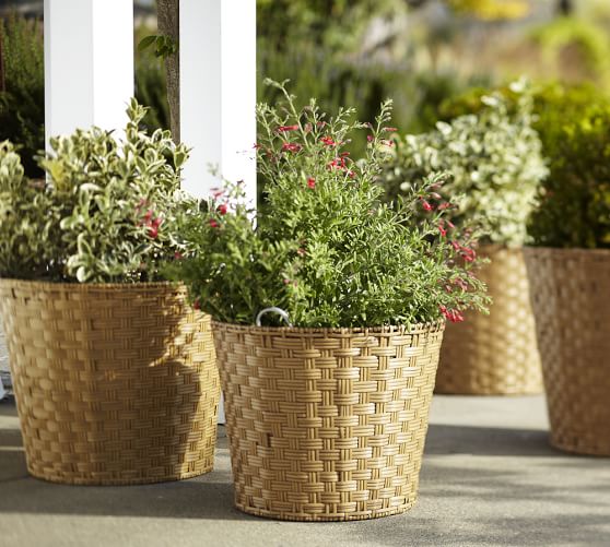 Glenwillow AllWeather Wicker Planters Pottery Barn