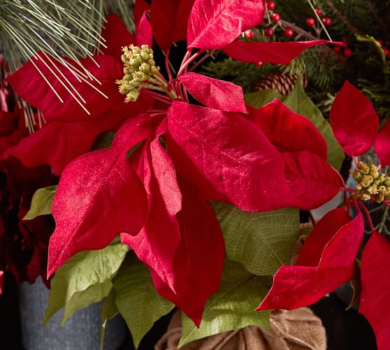 Faux Potted Poinsettia Pottery Barn