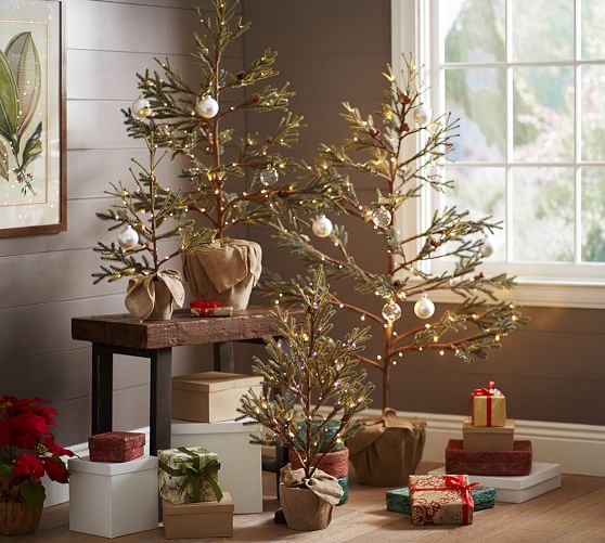 Lit Potted Pine Trees Pottery Barn