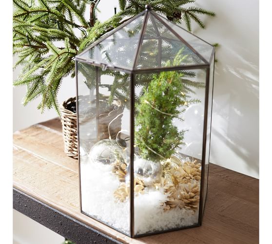 Glass Terrarium Pottery Barn