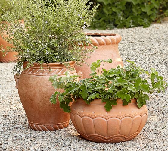 Umbria Planters Pottery Barn