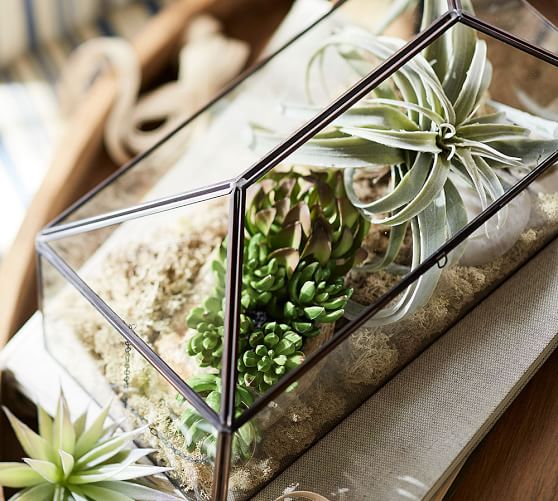 Glass Terrarium Pottery Barn