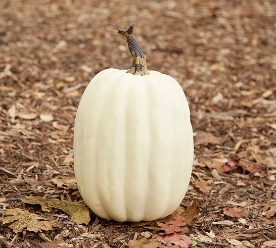 Faux Pumpkins | Pottery Barn