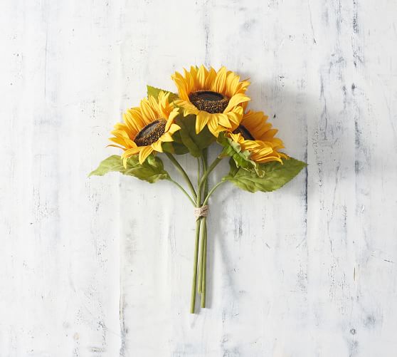 Sunflower Bundle Pottery Barn