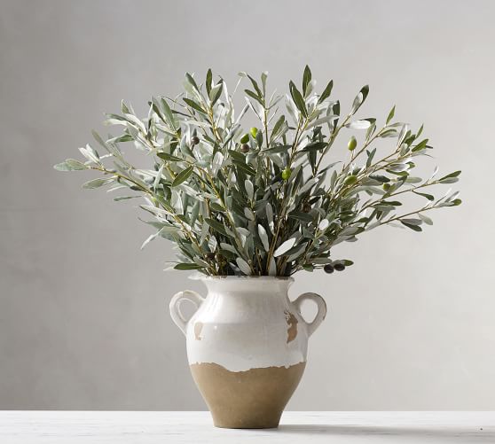 Olive Bundle Pottery Barn