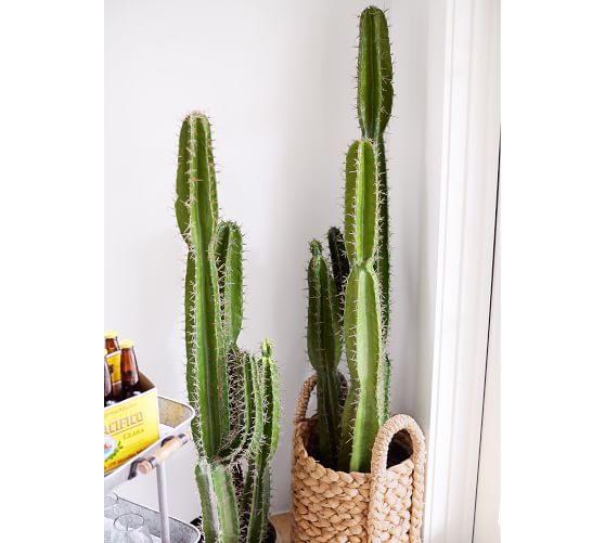 Faux Potted Saguaro Cactus | Pottery Barn