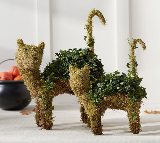Live Cat Topiary Pottery Barn