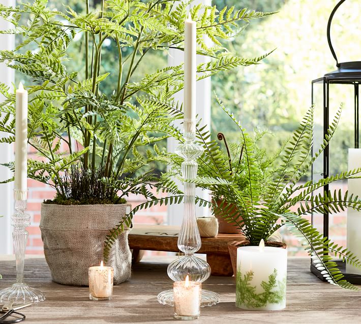 Faux Potted Fern with Fiddle Heads