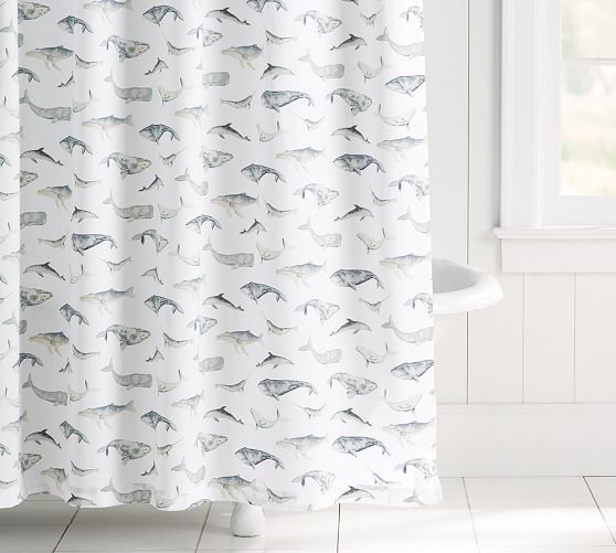 Sea Pod Shower Curtain Pottery Barn