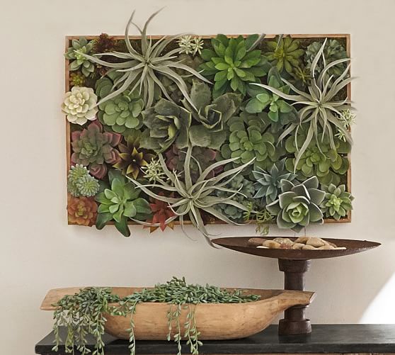  Succulent  Wall  Pottery Barn