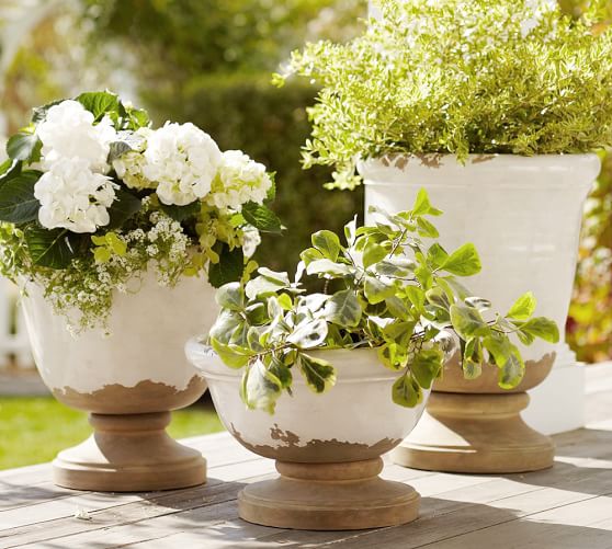Tuscan Planters Pottery Barn