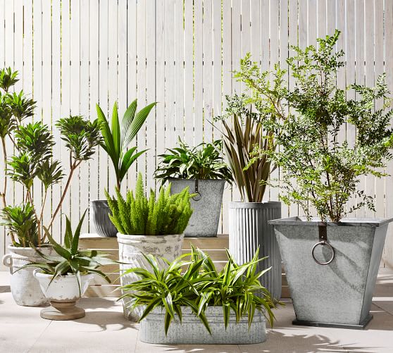 Eclectic Galvanized Metal Planters Pottery Barn